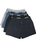 innerwear garment